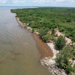 listing image thumbnail with ID 4232