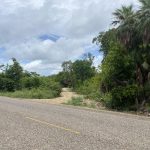 listing image thumbnail with ID 4129