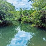 listing image thumbnail with ID 3625