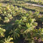 listing image thumbnail with ID 3755