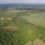 listing image thumbnail with ID 3226