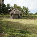 listing image thumbnail with ID 3137