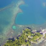 listing image thumbnail with ID 4771