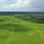 listing image thumbnail with ID 2027