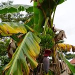 listing image thumbnail with ID 2546