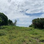 listing image thumbnail with ID 4382