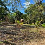 listing image thumbnail with ID 6047