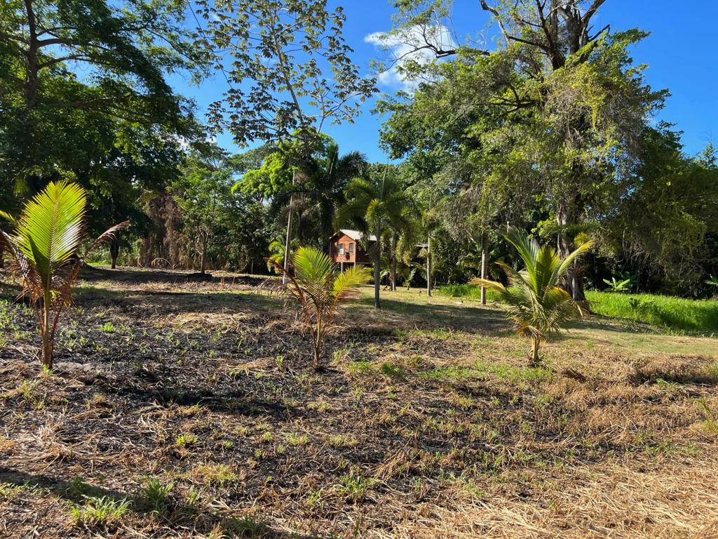 listing image with ID 6047