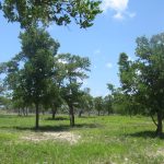 listing image thumbnail with ID 2565