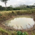 listing image thumbnail with ID 3750