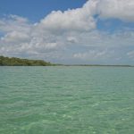 listing image thumbnail with ID 3647