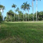 listing image thumbnail with ID 2024