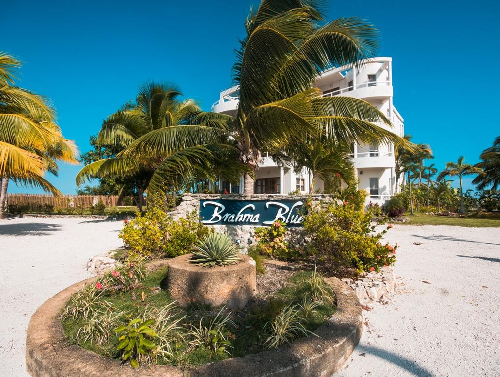 listing image with ID 1396