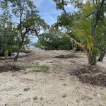 listing image thumbnail with ID 2529