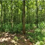 listing image thumbnail with ID 4628