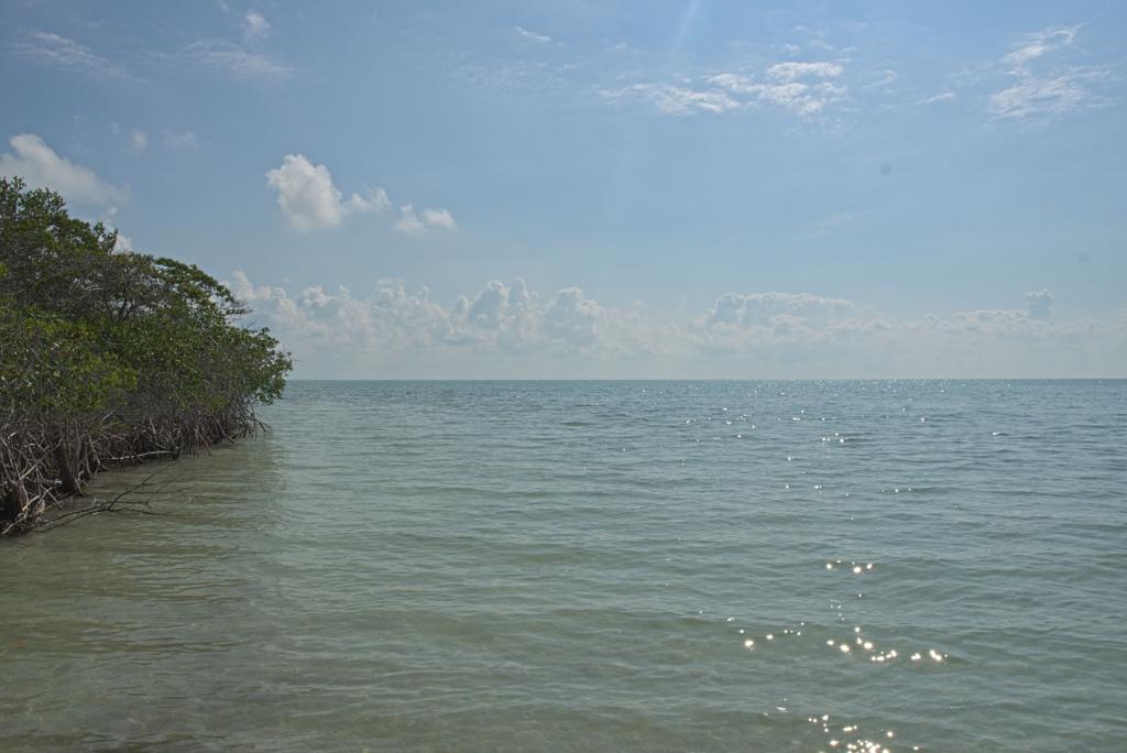 listing image with ID 3641