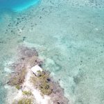 listing image thumbnail with ID 2556