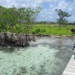 listing image thumbnail with ID 2562