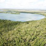 listing image thumbnail with ID 1894