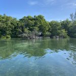 listing image thumbnail with ID 4776