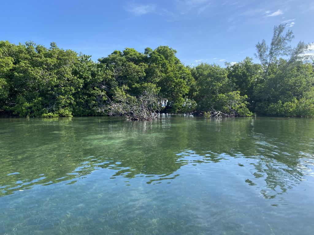listing image with ID 4776