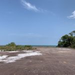 listing image thumbnail with ID 3670