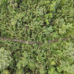 listing image thumbnail with ID 3224