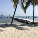 listing image thumbnail with ID 6530