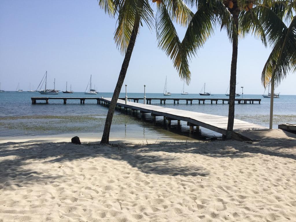 listing image with ID 6530