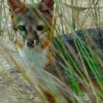 listing image thumbnail with ID 3418