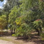 listing image thumbnail with ID 1830