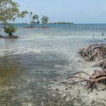 listing image thumbnail with ID 6500