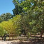 listing image thumbnail with ID 1834