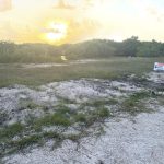 listing image thumbnail with ID 2981