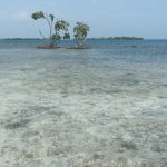 listing image thumbnail with ID 6498