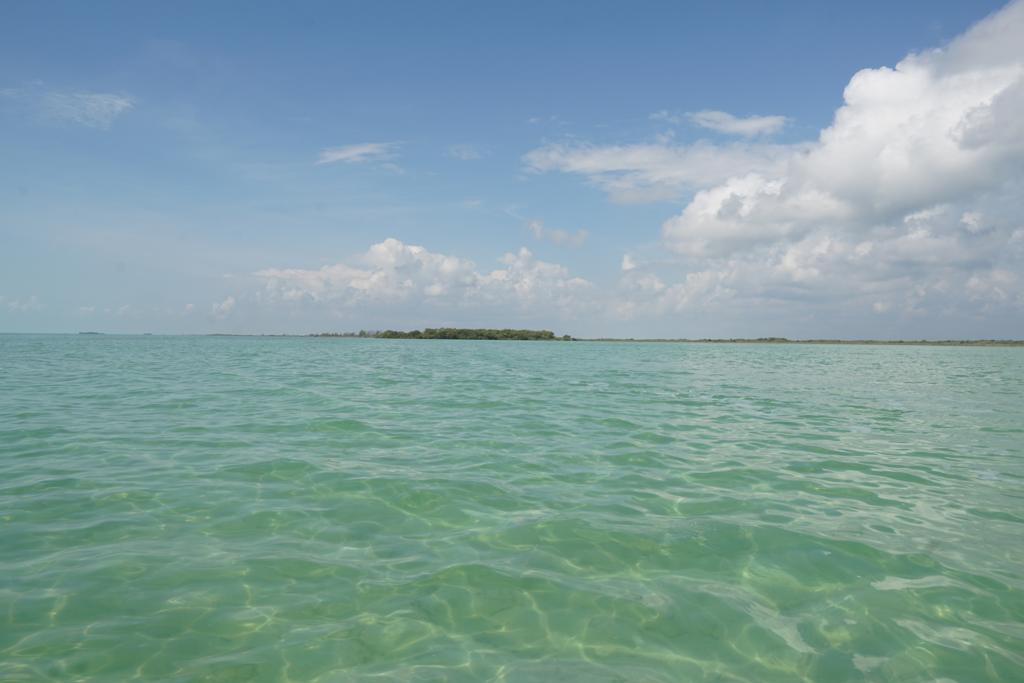 listing image with ID 3643