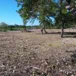 listing image thumbnail with ID 2566