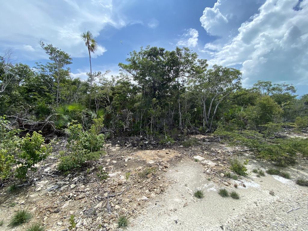 listing image with ID 1634