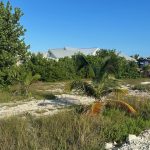 listing image thumbnail with ID 5261