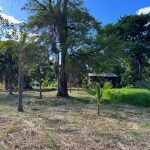 listing image thumbnail with ID 6046