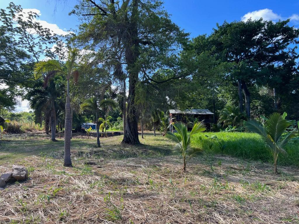 listing image with ID 6046