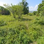 listing image thumbnail with ID 1631