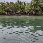 listing image thumbnail with ID 2449