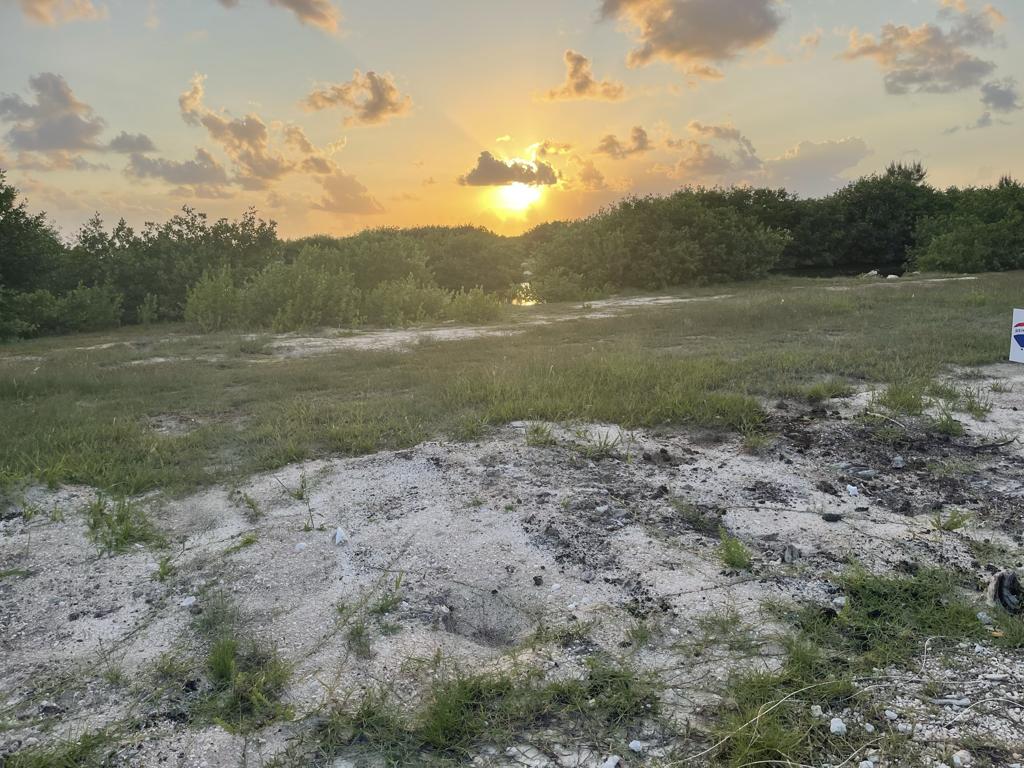 listing image with ID 2978