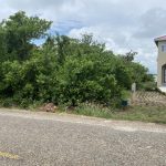 listing image thumbnail with ID 4127