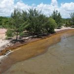 listing image thumbnail with ID 4231