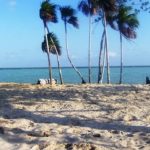 listing image thumbnail with ID 2211