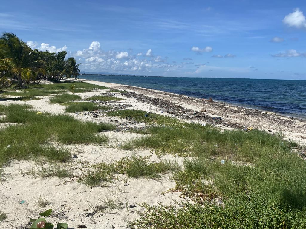listing image with ID 4710