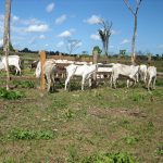 listing image thumbnail with ID 2022