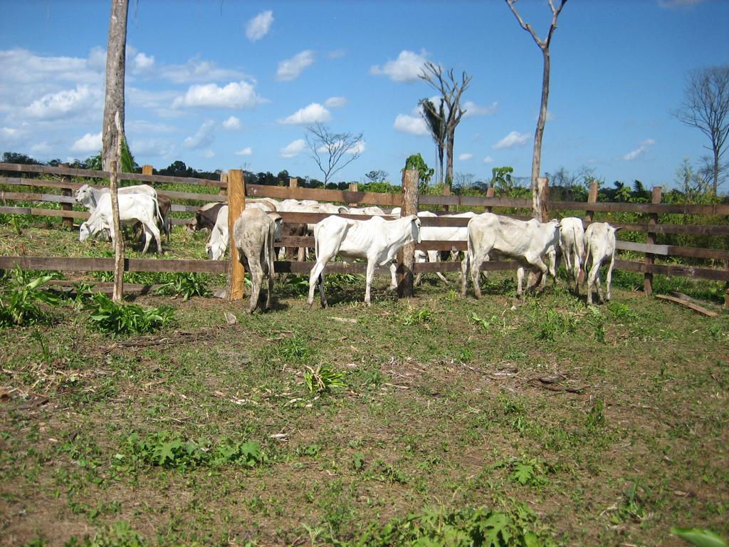 listing image with ID 2022